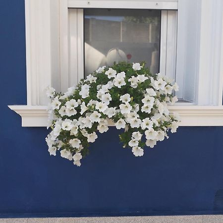 몬포르테데레모스 Casa Jardin 빌라 외부 사진