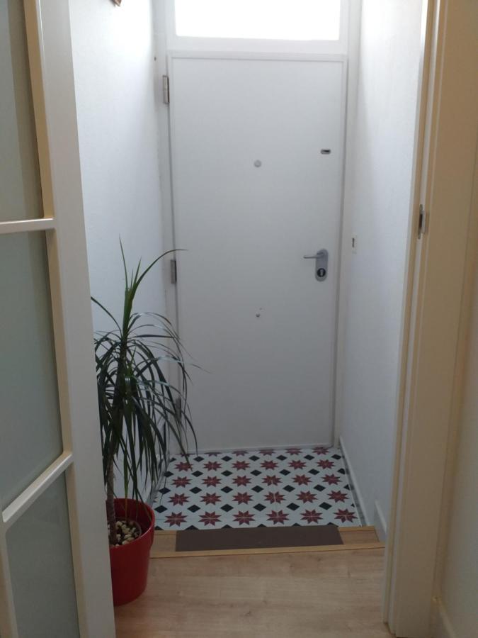 몬포르테데레모스 Casa Jardin 빌라 외부 사진